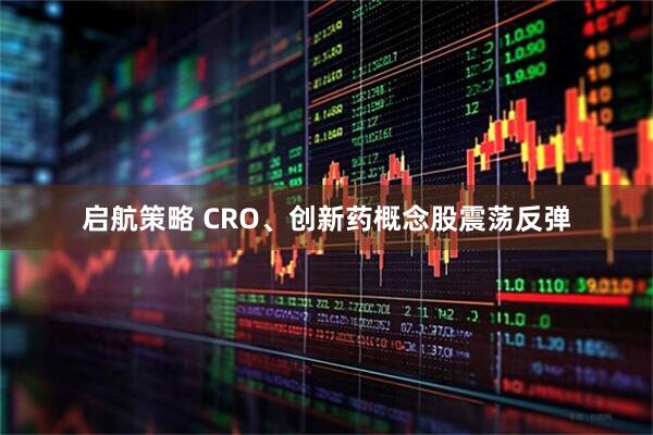 启航策略 CRO、创新药概念股震荡反弹