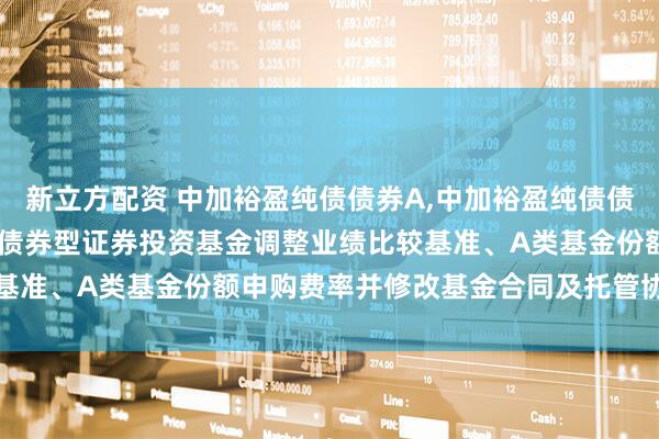 新立方配资 中加裕盈纯债债券A,中加裕盈纯债债券C: 关于中加裕盈纯债债券型证券投资基金调整业绩比较基准、A类基金份额申购费率并修改基金合同及托管协议的公告